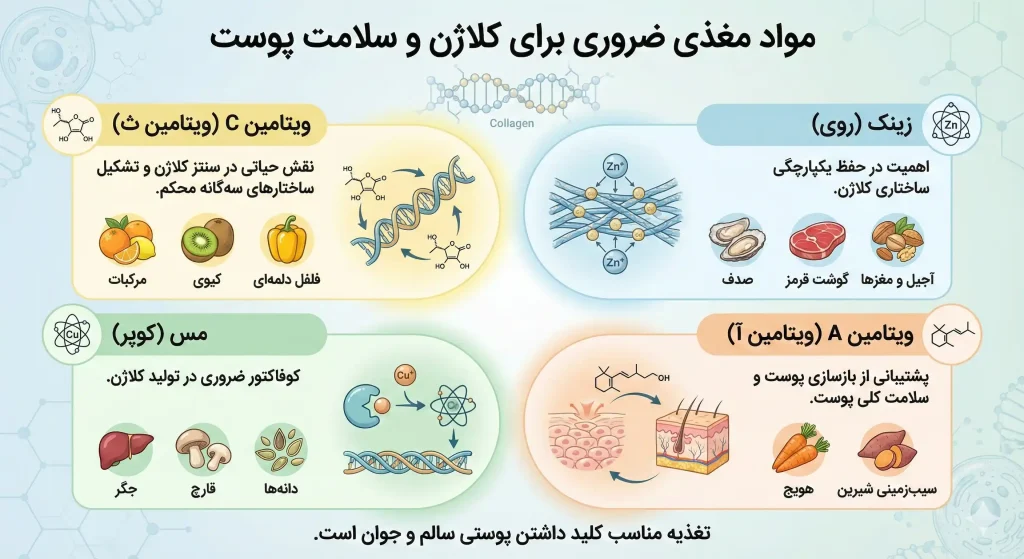 خوراکی های کلاژن ساز